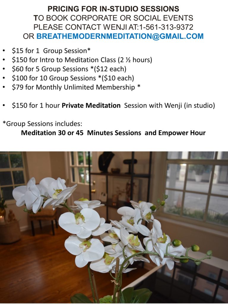 meditation pricing Feb 2020 1